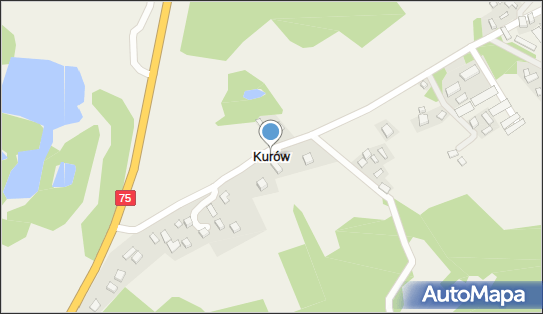 Kurów (powiat nowosądecki), Kurów - Inne