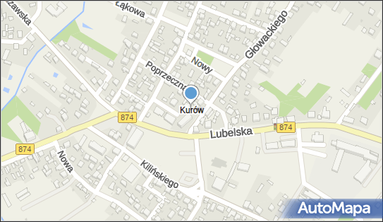 Kurów (powiat puławski), Kurów - Inne