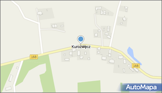 Kurozwęcz, Kurozwęcz - Inne