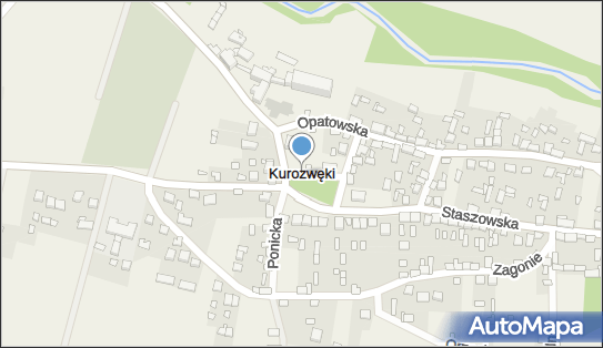 Kurozwęki, Kurozwęki - Inne