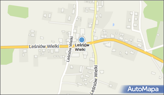 Leśniów Wielki, Leśniów Wielki - Inne