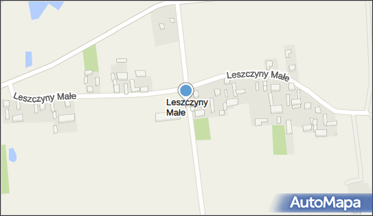 Leszczyny Małe, Leszczyny Małe - Inne