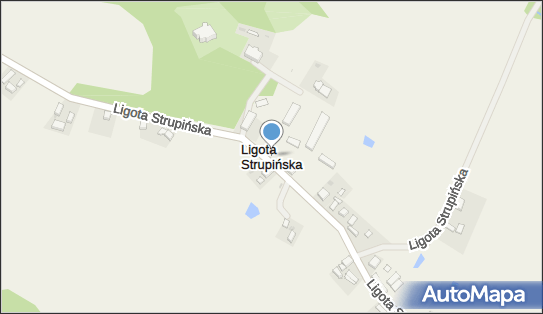 Ligota Strupińska, Ligota Strupińska - Inne