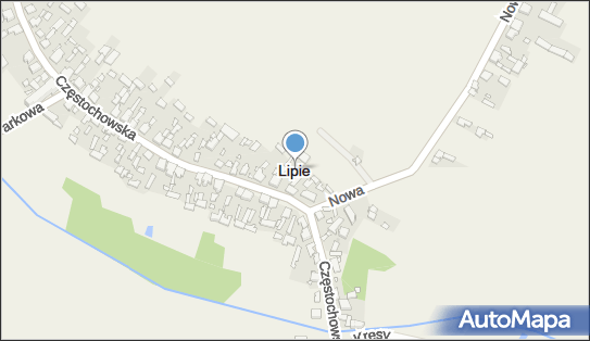 Lipie (powiat kłobucki), Lipie - Inne