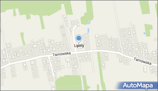 Lipiny (powiat dąbrowski), Lipiny - Inne