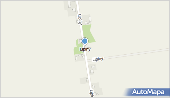 Lipiny (powiat kutnowski), Lipiny, Lipiny 99-350 - Inne