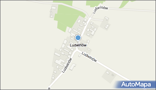 Ludwinów (gmina Wodzisław), Ludwinów - Inne