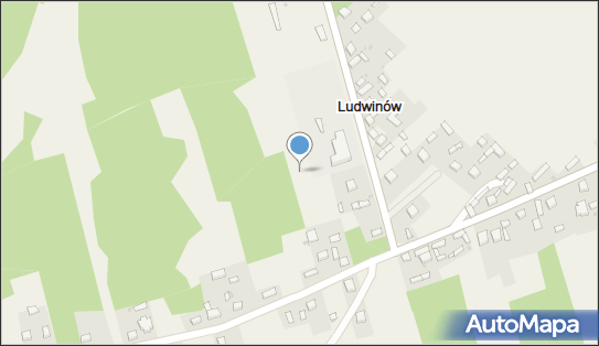 Ludwinów (powiat myszkowski), Ludwinów, Ludwinów 42-320 - Inne