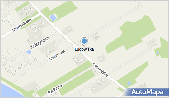 Ługowiska, Ługowiska - Inne