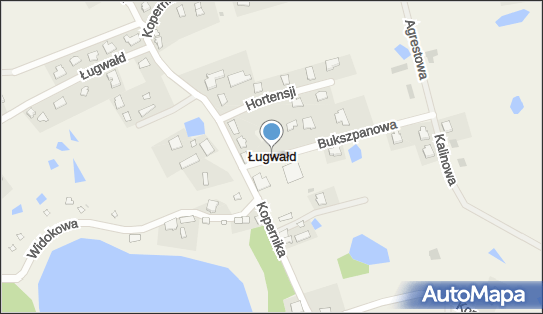 Ługwałd, Bukszpanowa, Ługwałd 11-001 - Inne