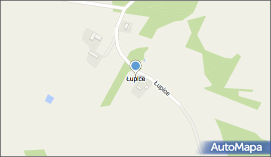 Łupice (województwo wielkopolskie), Łupice - Inne