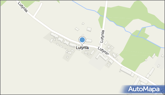 Lutynia (gmina Nowe Miasto nad Wartą), Lutynia - Inne