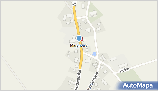 Marynowy, Marynowy - Inne