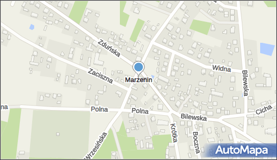 Marzenin (województwo łódzkie), Marzenin - Inne