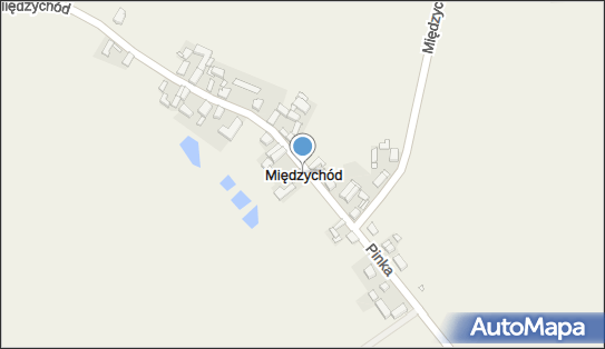 Międzychód (powiat śremski), Międzychód - Inne