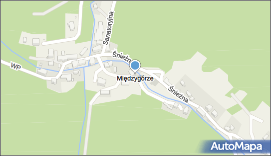 Międzygórze (województwo dolnośląskie), Międzygórze - Inne