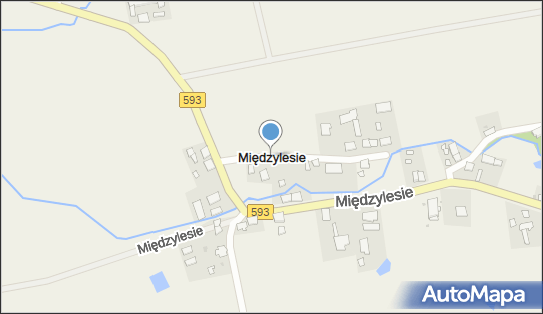 Międzylesie (powiat ostródzki), Międzylesie, Międzylesie 11-040 - Inne