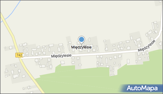 Międzylesie (województwo świętokrzyskie), Międzylesie - Inne