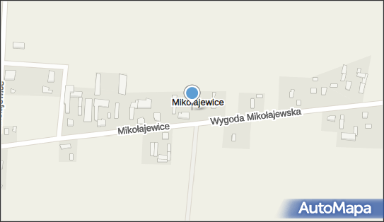Mikołajewice (powiat pabianicki), Mikołajewice - Inne