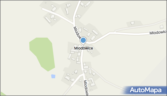 Miodowice, Miodowice - Inne