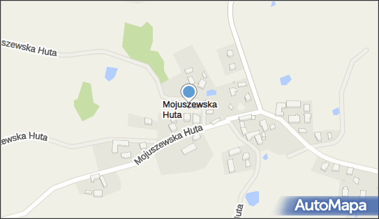 Mojuszewska Huta, Mojuszewska Huta - Inne