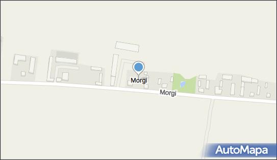 Morgi (powiat świecki), Morgi - Inne