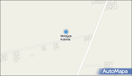 Morzyce-Kolonia, Morzyce Kolonia - Inne