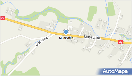 Muszynka, Muszynka - Inne