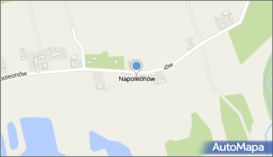 Napoleonów (powiat poddębicki), Napoleonów - Inne