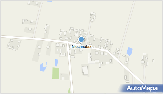 Niechnabrz, Niechnabrz - Inne