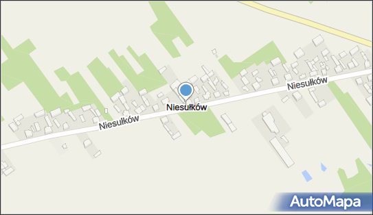 Niesułków, Niesułków, Niesułków 95-010 - Inne