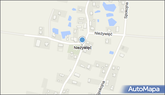 Nieżywięć (województwo pomorskie), Nieżywięć, Nieżywięć 77-300 - Inne