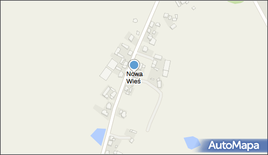 Nowa Wieś (gmina Pleszew), Nowa Wieś - Inne