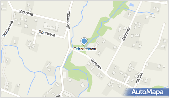 Odrzechowa, Odrzechowa - Inne