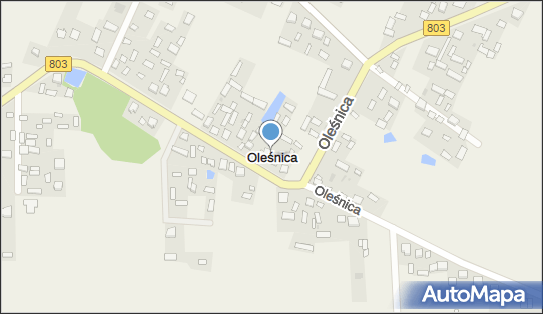 Oleśnica (województwo mazowieckie), Oleśnica - Inne