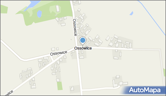 Ossowice, Ossowice - Inne