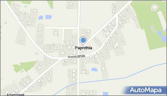 Paprotnia (powiat zduńskowolski), Paprotnia - Inne