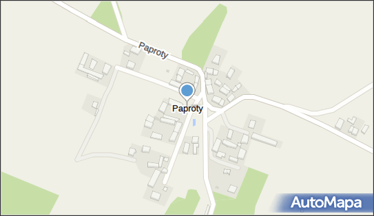 Paproty, Paproty - Inne