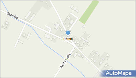 Parole, Parole - Inne