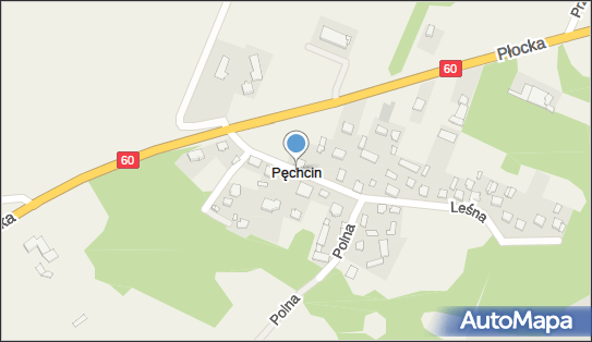 Pęchcin, Pęchcin - Inne