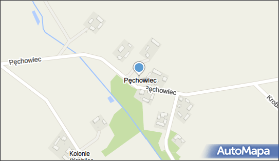 Pęchowiec, Pęchowiec - Inne
