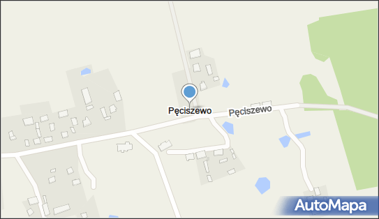 Pęciszewo, Pęciszewo - Inne