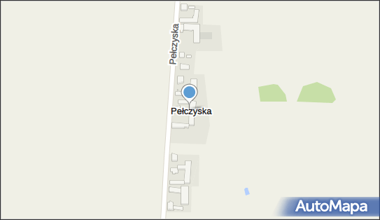 Pełczyska (powiat zgierski), Pełczyska - Inne