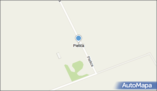 Pielica, Pielica - Inne