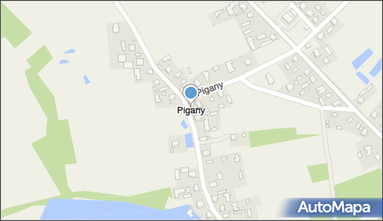 Pigany, Pigany - Inne