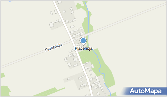 Placencja, Placencja - Inne