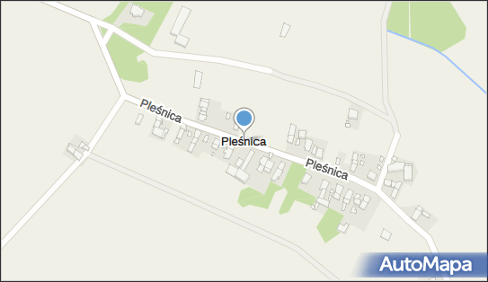 Pleśnica, Pleśnica - Inne