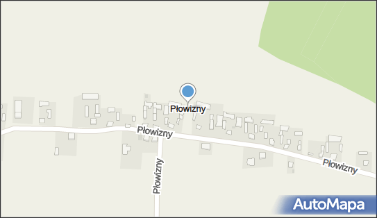 Płowizny, Płowizny - Inne