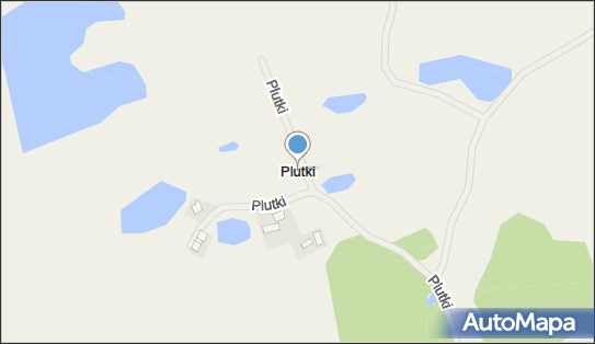 Plutki, Plutki - Inne