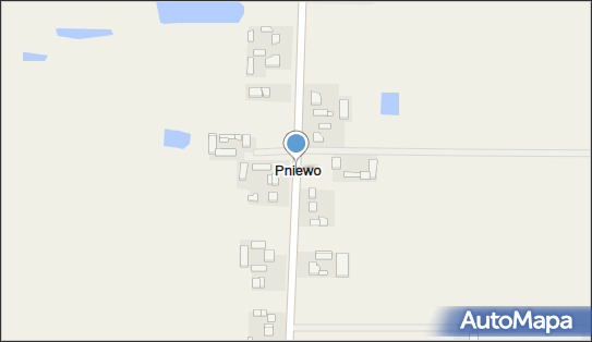 Pniewo (województwo łódzkie), Pniewo, Pniewo 99-311 - Inne